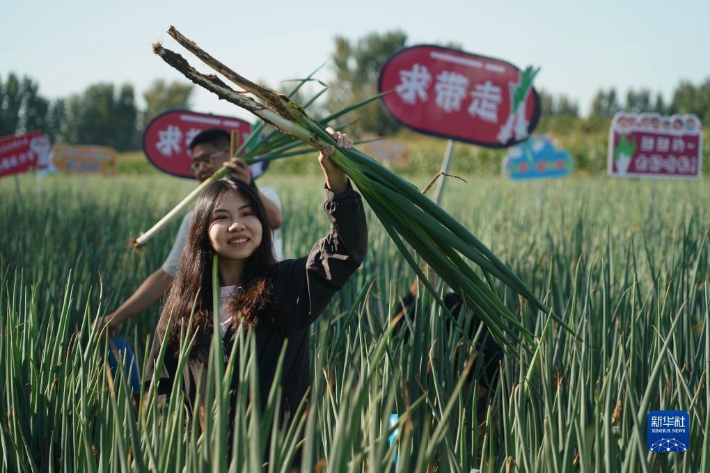 威澳门尼斯人手机版